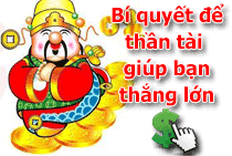 SOI CAU MIEN BAC